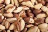 Brazil Nuts/Cashew Nuts /Pistachio Nut/Pine Nuts /Walnut/Almonds/Mecademia Nuts/Cashew Nuts/Cloves