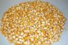 Yellow/White Corn