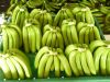 FRESH CAVENDISH BANANA