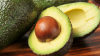 Hass and  Fuerte  Fresh Avocados  Cheap Price