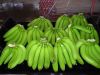 Fresh quality cavandish banana