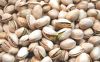 Best quality Pistachio nuts ready for export