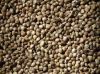 different size above 5.0mm 3.5-5.0mm below 3.5mm High qualtiy HEMP SEEDS