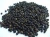 Vietnam Black Pepper