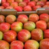 Fresh Royal Gala Apples from South Africa