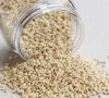 WHITE SORGHUM Red Sorghum, Sorghum Grains