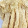 Dried Bamboo Fungus