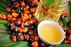 RBD Palm Oil