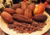 cocoa beans