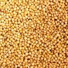 Sorghum for sale