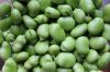 Broad Beans