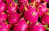 Dragon Fruit