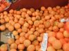 Fresh Mandarin Orange Citrus Fruits