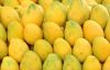 Fresh Mangoes