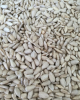 sunflower seeds / kernels confectionery&bakery