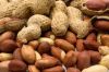 Ground Nuts / Pea Nuts