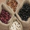 Light Speckled Kidney beans/Sugar beans/White beans/Red beans/Black beans