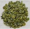 Pumpkin Seeds Kernel