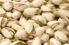 pistachio nuts