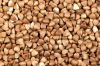 Roasted Buckwheat