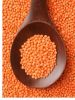 High Quality Lentils/Red Lentils/Green Lentils