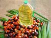 High quality 100% pure edible vegetable oils on Promo sales