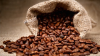 Java Coffee Beans / Liberica Coffee Beans/ Arabica Coffee Beans / Robusta Coffee Beans