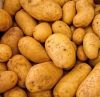 Fresh Potatoes Premium Grade