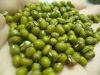 good quality hot sale green mung bean