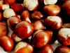 Chestnuts