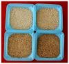 Soya bean Meal/ Animal feed