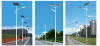 30-60W solar street light & outdoor solar led street light