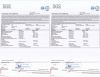 Vietnam CNSL for bio heavy oil / cardanol producing. Cashew nut shell liquid