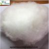 white baby cashmere fibre 13.8 micron 26mm