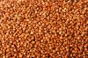 buckwheat kernel