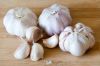 Best offer Fresh ginger and garlic ready for immediate exportation