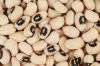 Top quality black eye beans at competitive price for export