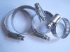 American Type Hose Clamp-2