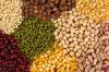 lentil dal, toor dal(yellow pigeon pea), chana dal (chickpeas); yellow split peas