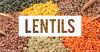 BEST SELLERS MULTI COLOURS LENTILS