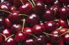 Fresh Cherries