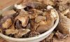 Dried Mushrooms