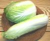 Fresh Celery Cabbage /CELERY CABBAGE/New harvest fresh celery cabbage