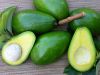 Fresh Avocado - Fresh Avocados/Frozen Avocado- Best price and quality