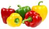 Fresh Capsicum - Frozen Capsicum - High Quality and Best Price