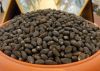 Jatropha Seeds, Castor Seeds, Flax Seeds