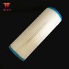 swimming filter cartridge