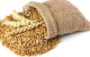 Quality Wheat / Durum Wheat / Milling Wheat