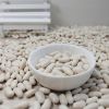 Dry Lima Beans / Fresh Lima Bean/ Large White Lima Bean