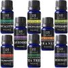 Radha Beauty Aromatherapy Top 8 Essential Oils 100% Pure & Therapeutic grade - Basic Sampler Gift Set & Kit (Lavender, Tea Tree, Eucalyptus, Lemongrass, Orange, Peppermint, Frankincense and Rosemary)